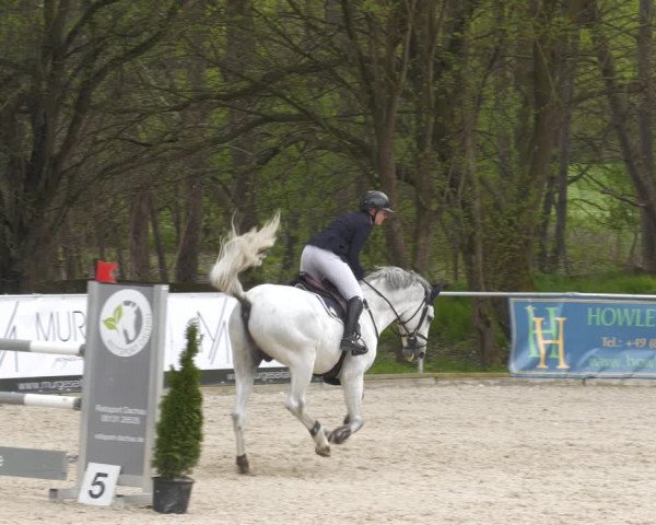 Reitturnier Karlsfeld 2023