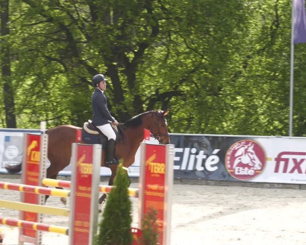 Reitturnier Karlsfeld 2023