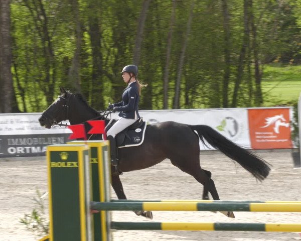 Reitturnier Karlsfeld 2023