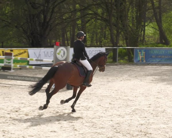 Reitturnier Karlsfeld 2023