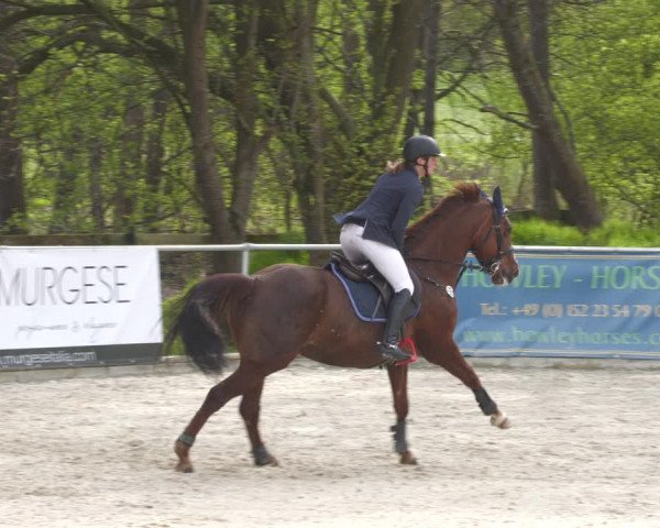 Reitturnier Karlsfeld 2023
