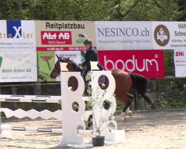 Reitturnier Sins 2023