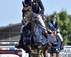 jumper Cartagena W (Holsteiner, 2007, from Casall Ask)