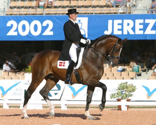 horse Blue Hors Cavan (Hanoverian, 1990, from Cavalier)