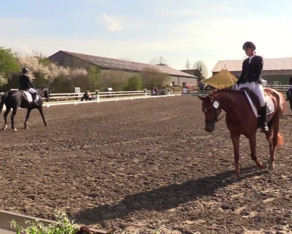 Reitturnier Kleinsolt 2023