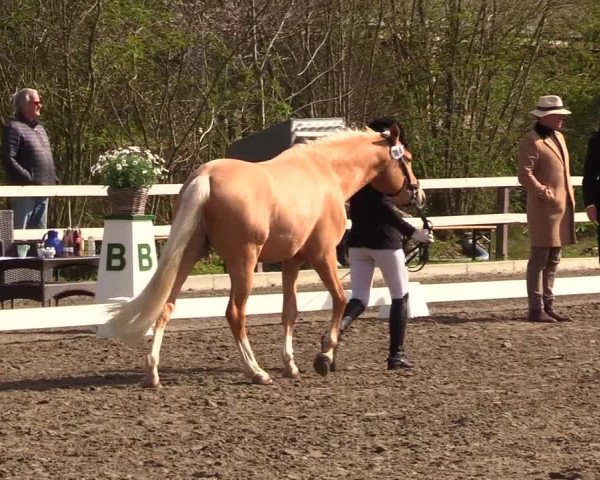 Reitturnier Kleinsolt 2023