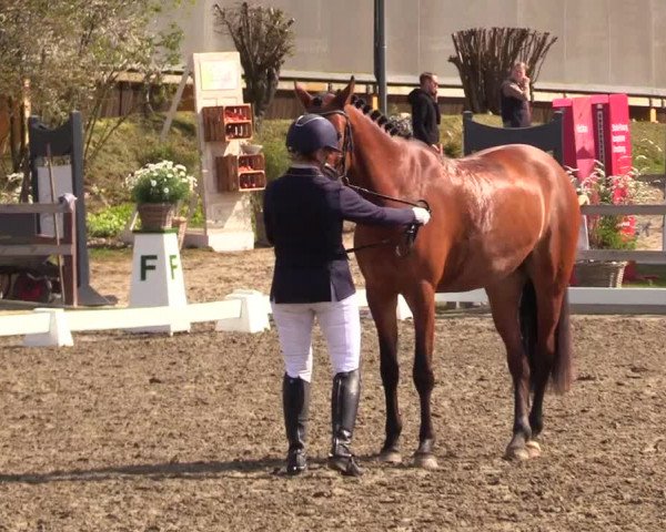 Reitturnier Kleinsolt 2023