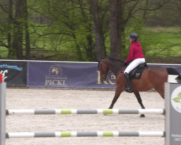 Reitturnier Karlsfeld 2023