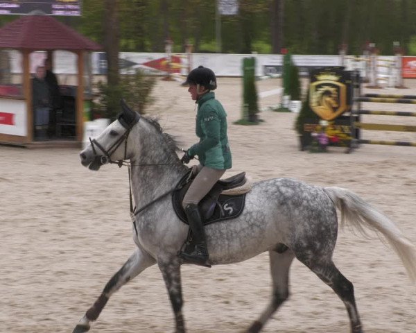 Reitturnier Karlsfeld 2023