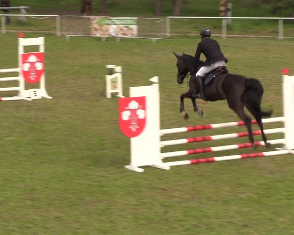 Reitturnier Colbitz 2023