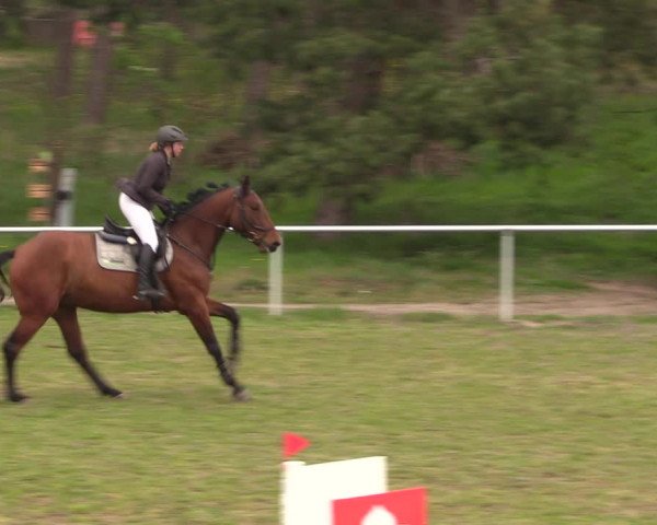 Reitturnier Colbitz 2023