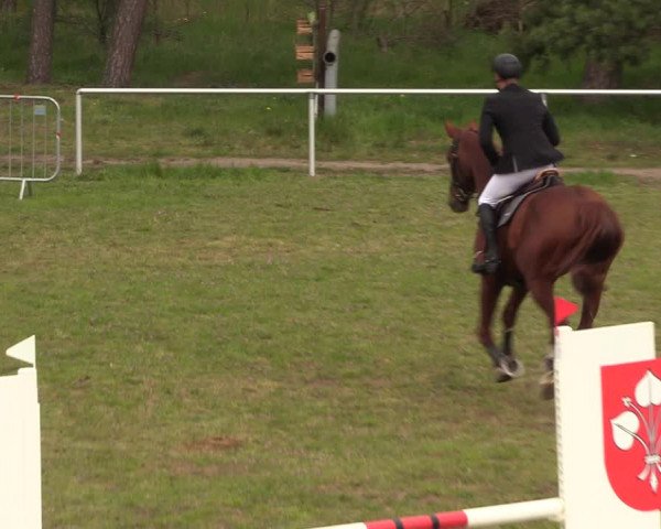 Reitturnier Colbitz 2023