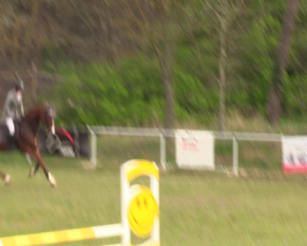 Reitturnier Colbitz 2023