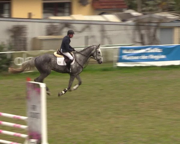 Reitturnier Colbitz 2023