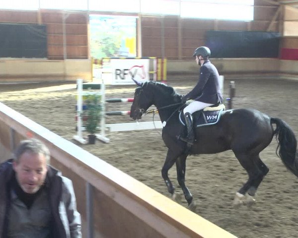Reitturnier Schwendi 2021