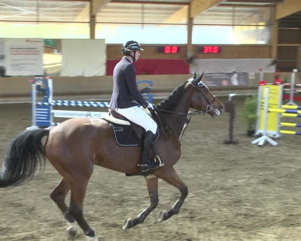 Reitturnier Schwendi 2021