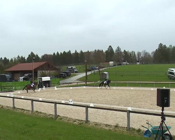 Reitturnier Gut Bohmerhof/Obb. 2023