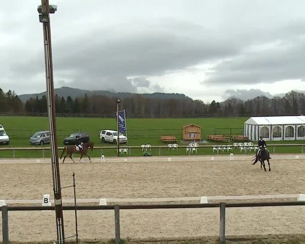 Reitturnier Gut Bohmerhof/Obb. 2023