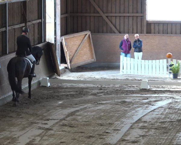 Reitturnier Scharnebeck 2021