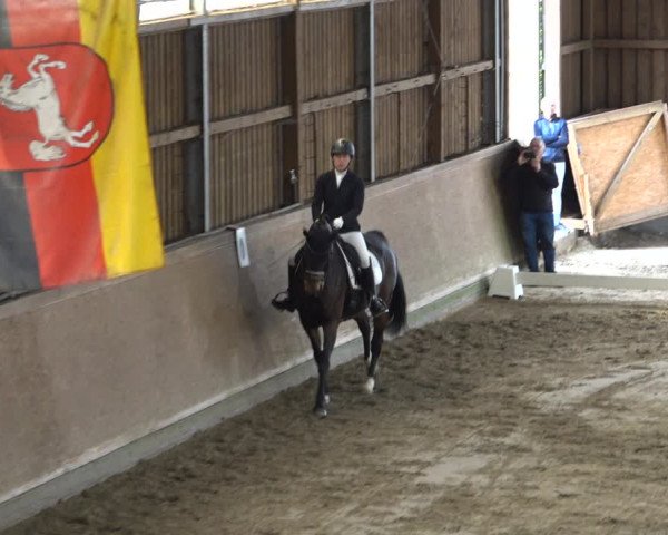 Reitturnier Scharnebeck 2021