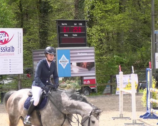 Reitturnier Sins 2023