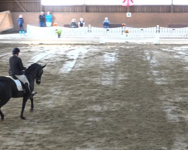 Reitturnier Scharnebeck 2021