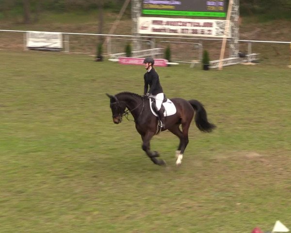 Reitturnier Colbitz 2023