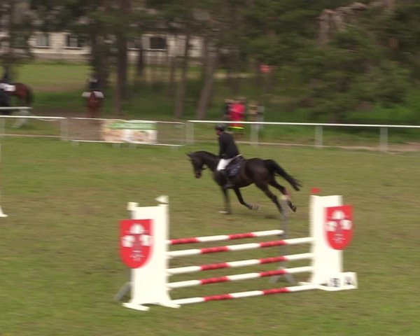 Reitturnier Colbitz 2023