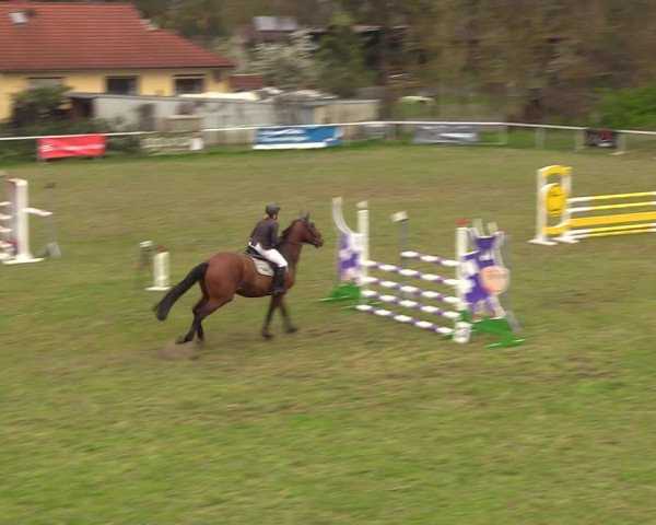 Reitturnier Colbitz 2023