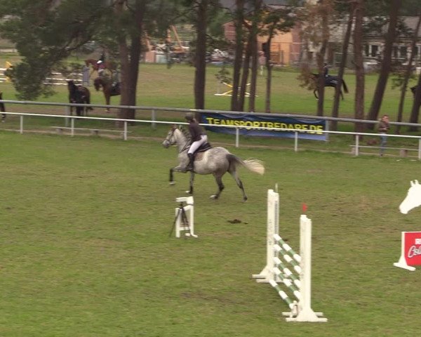 Reitturnier Colbitz 2023
