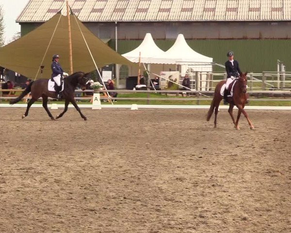 Reitturnier Kleinsolt 2023