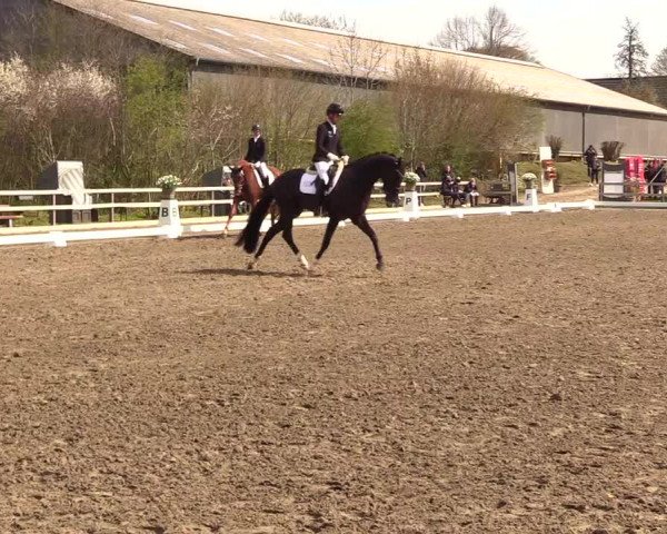 Reitturnier Kleinsolt 2023