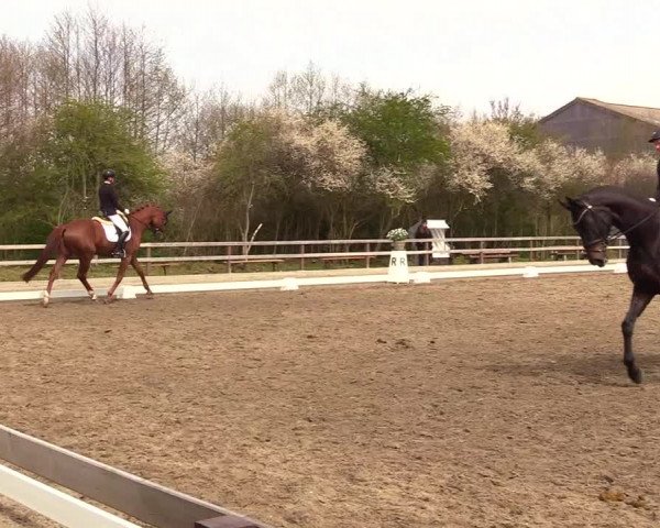 Reitturnier Kleinsolt 2023