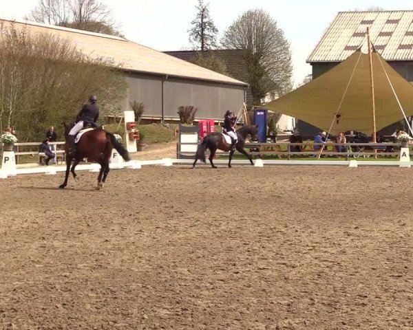 Reitturnier Kleinsolt 2023