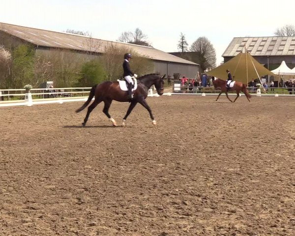 Reitturnier Kleinsolt 2023