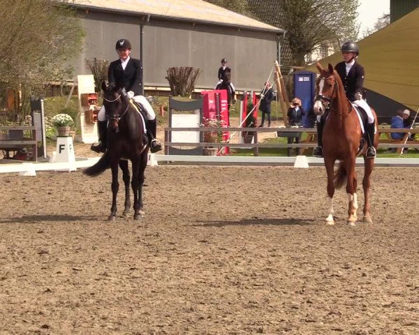 Reitturnier Kleinsolt 2023
