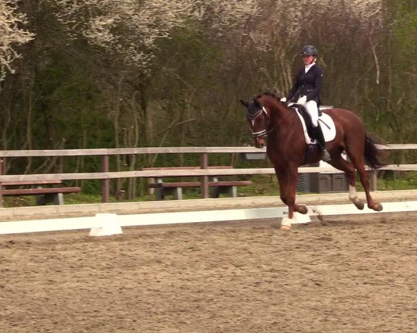 Reitturnier Kleinsolt 2023