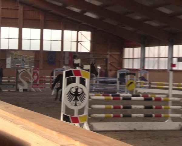 Reitturnier Polzow 2021
