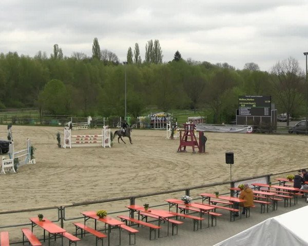 Reitturnier Kamen 2023