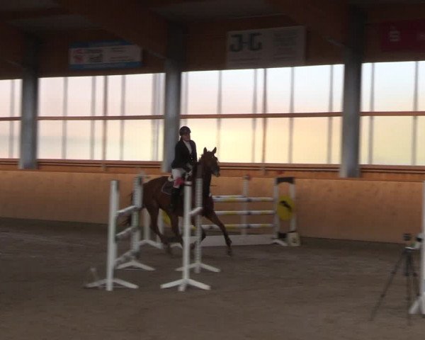 Reitturnier Polzow 2021