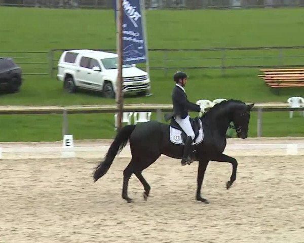 Reitturnier Gut Bohmerhof/Obb. 2023