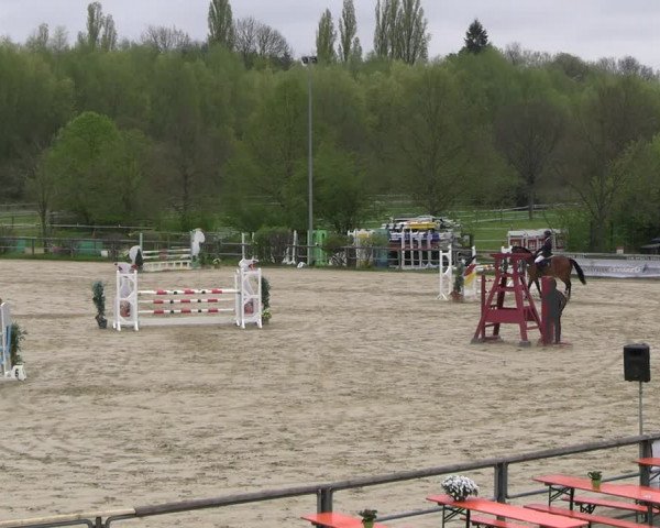 Reitturnier Kamen 2023