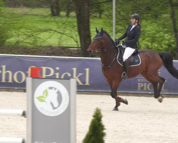 Reitturnier Karlsfeld 2023