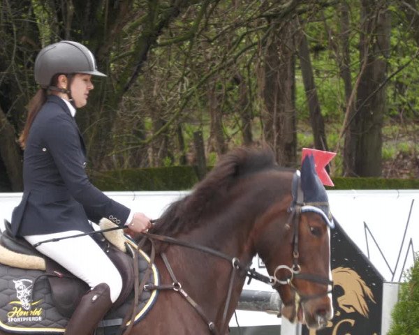 Reitturnier Karlsfeld 2023