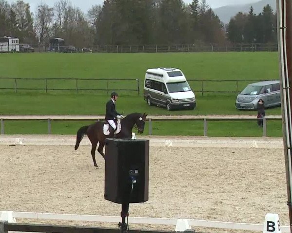 Reitturnier Gut Bohmerhof/Obb. 2023
