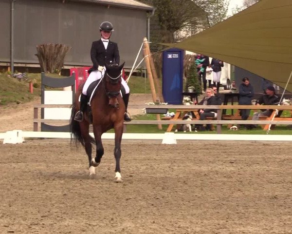 Reitturnier Kleinsolt 2023