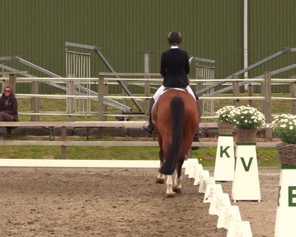 Reitturnier Kleinsolt 2023