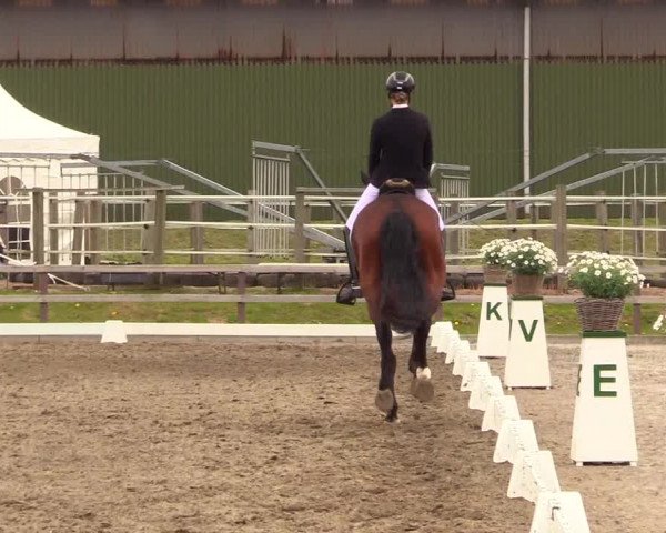 Reitturnier Kleinsolt 2023