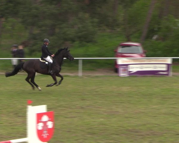 Reitturnier Colbitz 2023