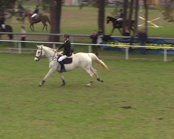 Reitturnier Colbitz 2023